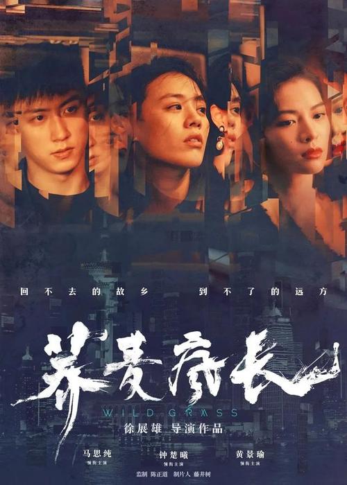 高中毕业证算中专吗